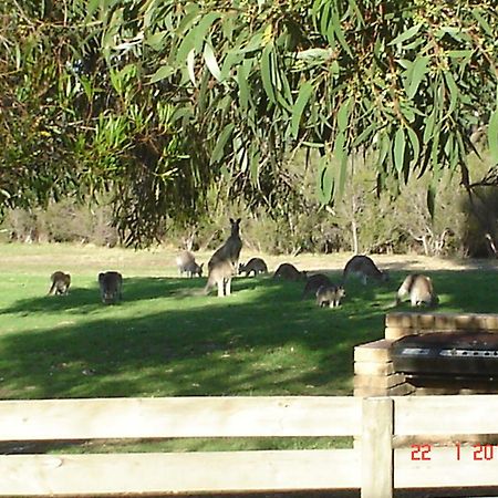 Mountain View Motor Inn & Holiday Lodges Halls Gap Ngoại thất bức ảnh